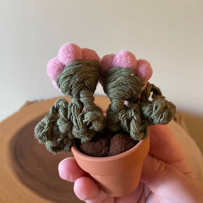 Double Flower Pompom, Felt & Macrame Forever Fibre Flower