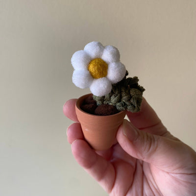 Pompom, Felt & Macrame Forever Fibre Flower - Mini
