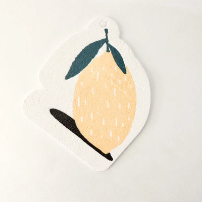 Fruit Shaped Cellulose Pop Up Sponge - Smile Boutiques