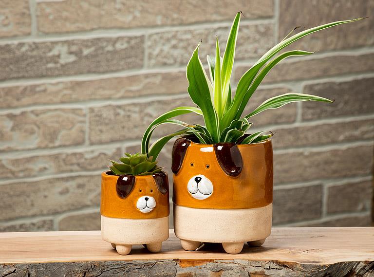 Animal Planters