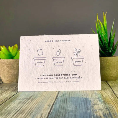 Valentine’s Day & Love Cards - Plantable Greetings