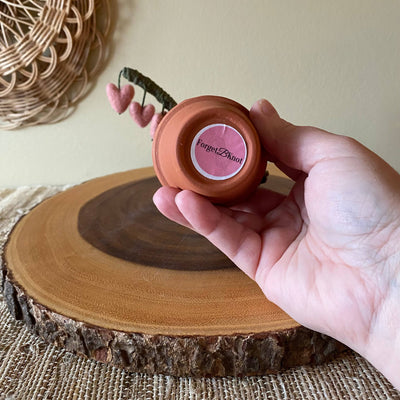 Macrame and Felted Bleeding Heart Forever Plant