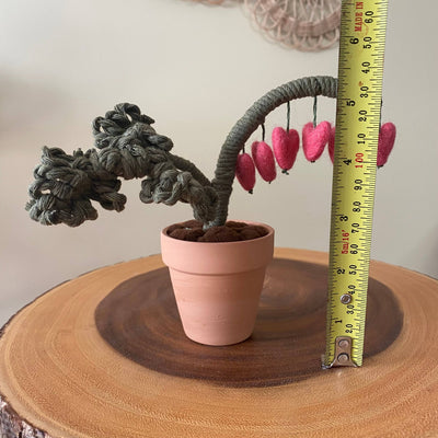 Macrame and Felted Bleeding Heart Forever Plant