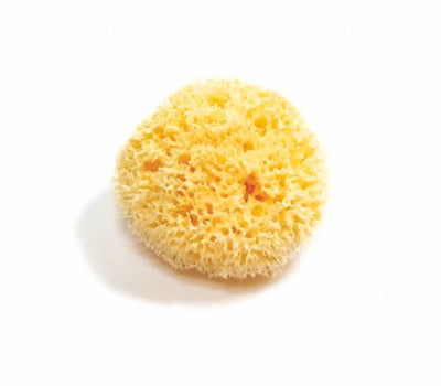 Natural Bath & Cleaning Grass Sea Sponge - Smile Boutiques