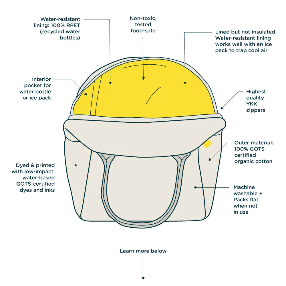 Zipper Lunch Bag: Summer Cones - Fluf