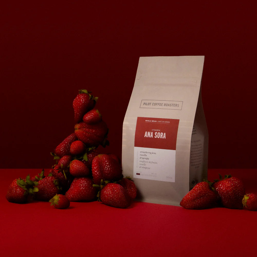 Pilot Coffee Beans - Ana Sora