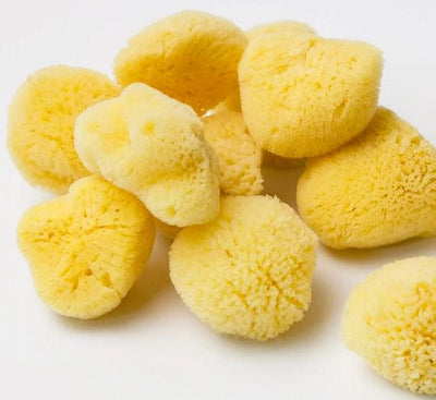 Natural Bath & Cleaning Grass Sea Sponge - Smile Boutiques