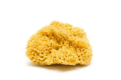 Natural Bath & Cleaning Grass Sea Sponge - Smile Boutiques