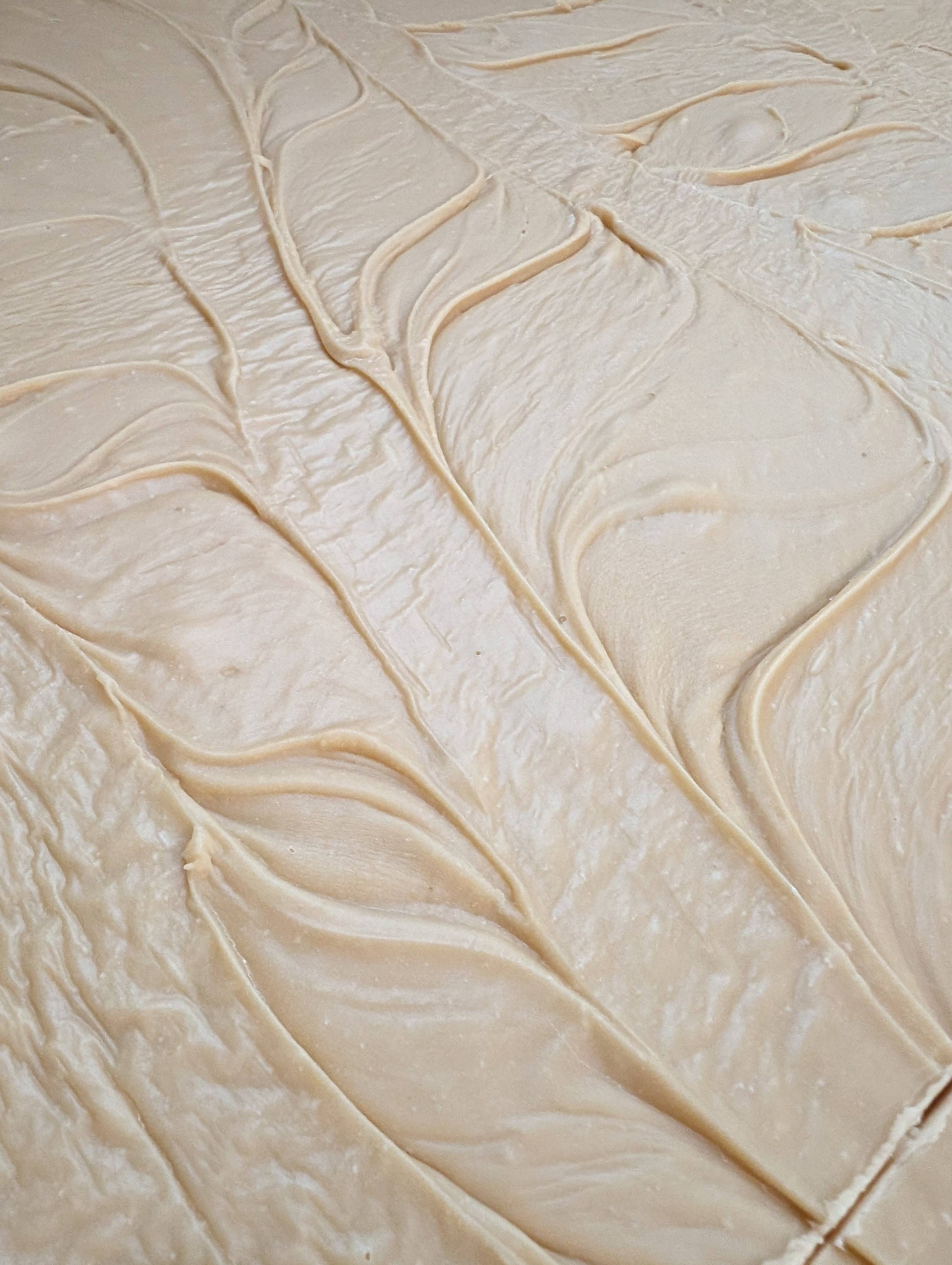 Rum Butter Fudge: Moose Munchies