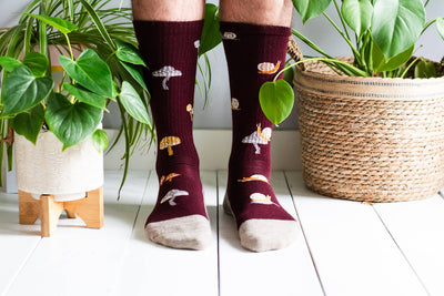 Women's Merino Wool Socks - Friday Sock Co