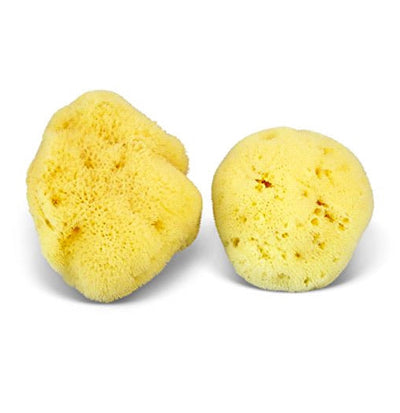 Natural Bath & Cleaning Grass Sea Sponge - Smile Boutiques