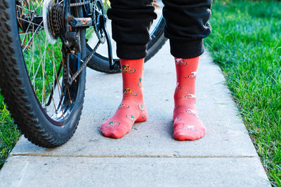 Women’s Socks- Friday Sock Co